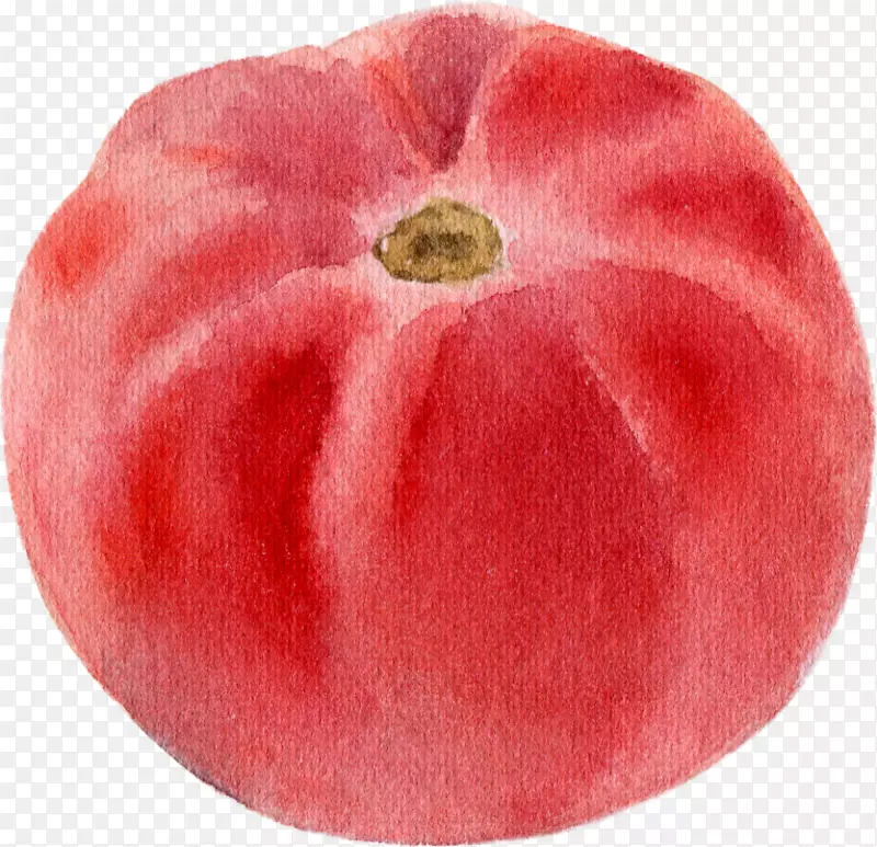 ��ͨ�ֻ��߲�װ�κ�����Ʒ���-������