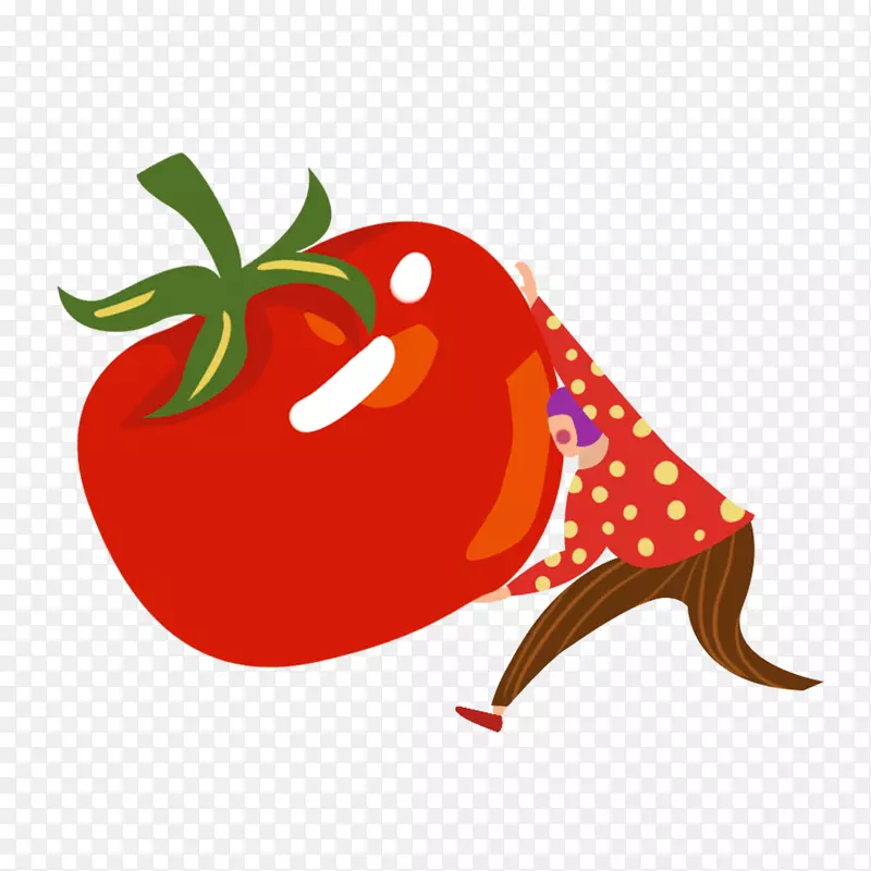 ��ͨ�ֻ��߲�װ�κ������-������