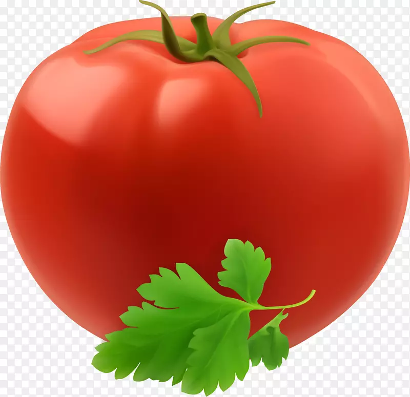 ��ͨ�ֻ��߲�װ�κ������-������