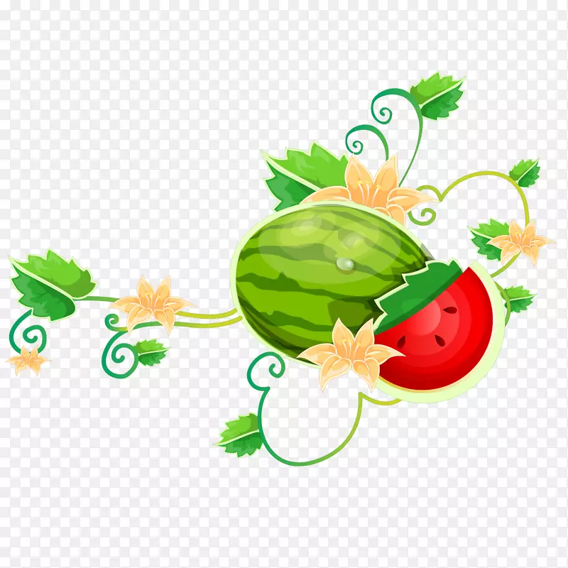 ��ͨ�ֻ�������-������