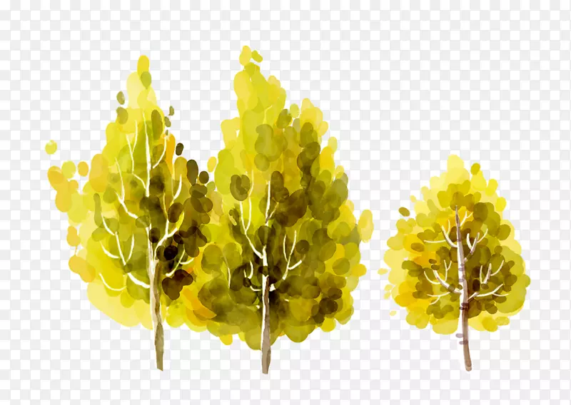 ˮ����ľ-������