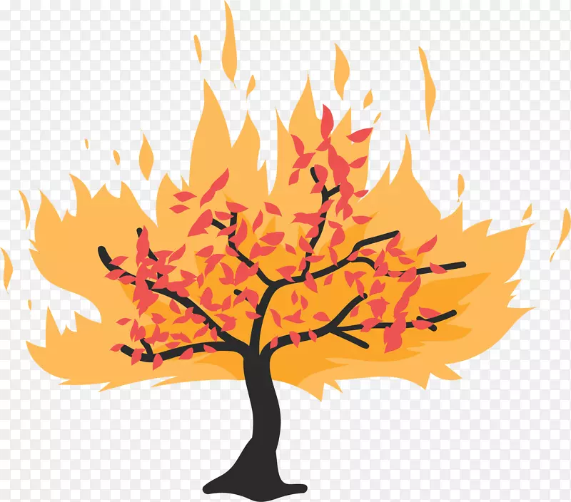 ���ɫ����Ч������-������