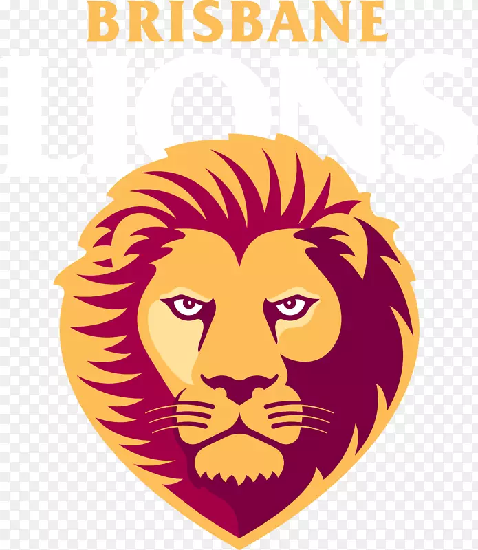 2018��AFL����ī�������򳡲���˹��ʨ����ʿ��������ֲ��ƴ�����������ֲ�-ʨ��ͷ-������