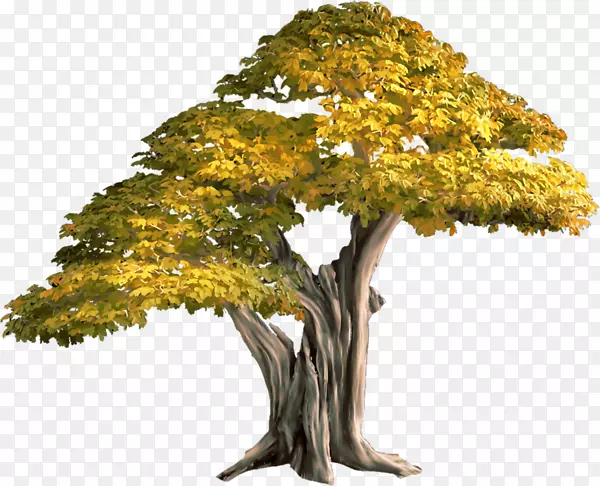 ˮ�ʴ���-������