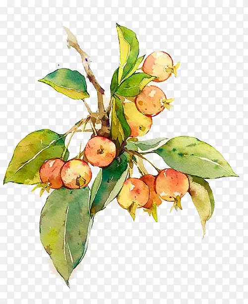 ˮ��ʯ��-������