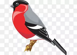 ��ͨ�ֻ濨ͨ��ü��-������