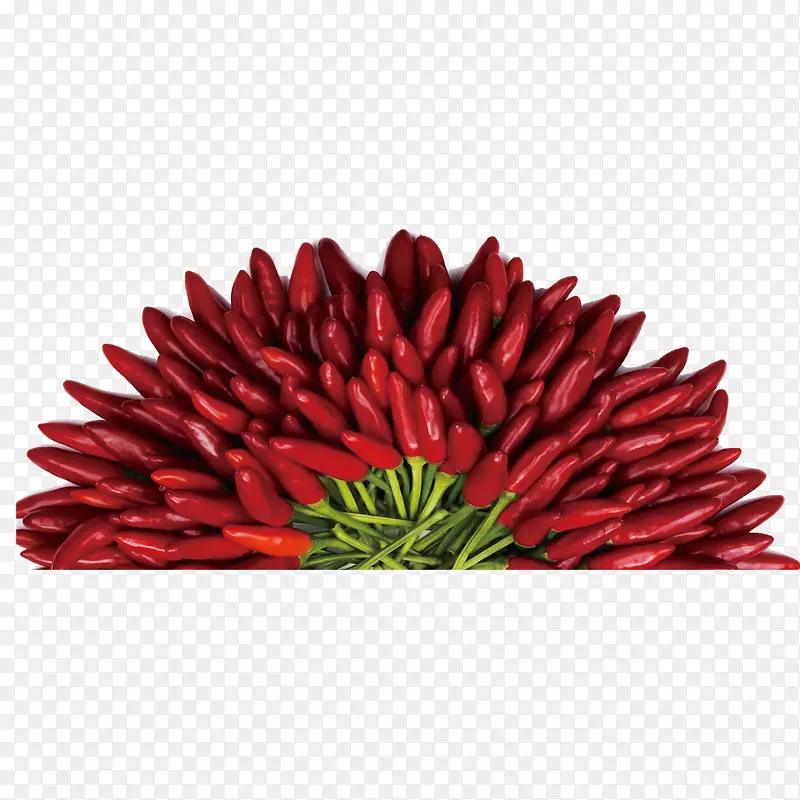 ����-������