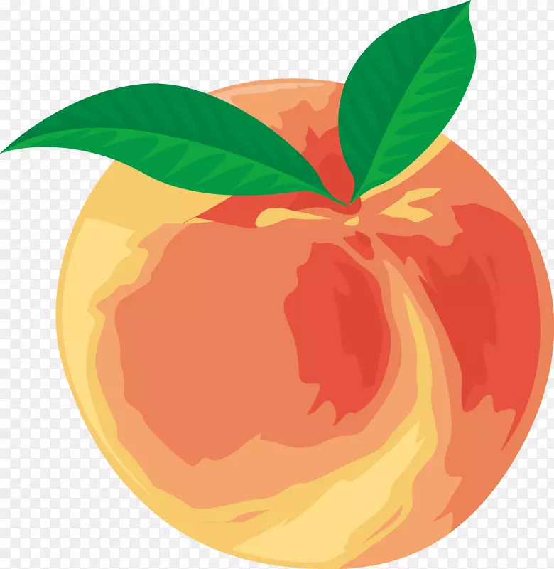 �ֻ�ˮ����ʸ��ͼ-������