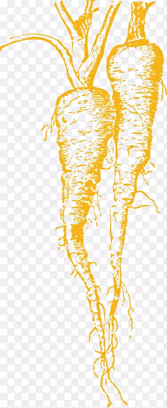 ��ɫ���ֻ濨ͨ���ܲ�-������