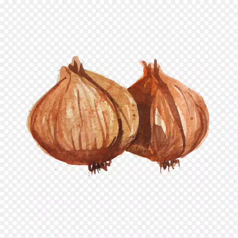 ˮ�����-������