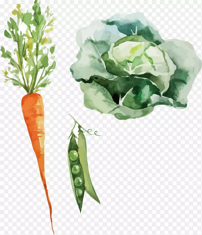 ˮ�ʻ����-������