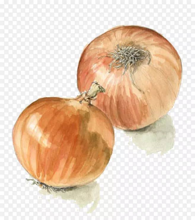 ˮ�����-������