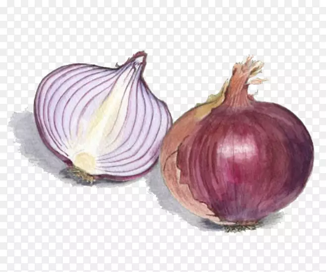 ˮ�����-������