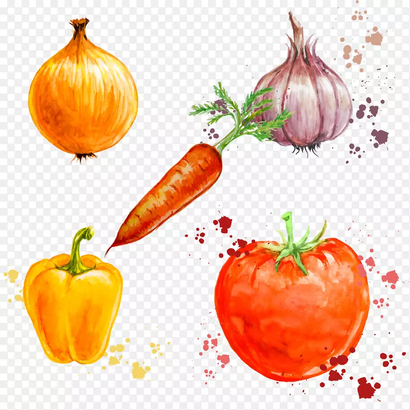 ˮ���ֻ��߲�-������