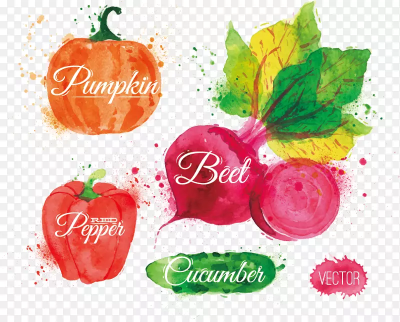 �ֻ��߲˺��ܲ� �Ϲ�����-������