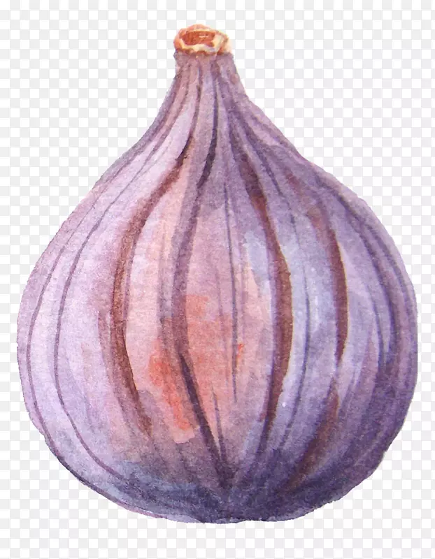 ˮ�ʻ�Ҷ��-������