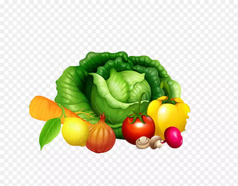 �����߲�-������