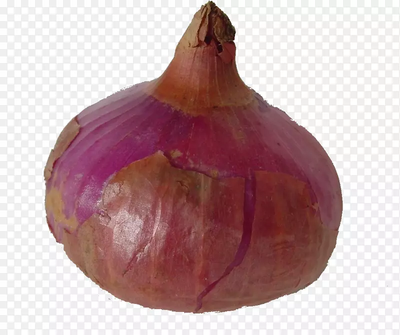 ʳ��ͼƬ�ز��߲˿�ͨ ��ͷ-������