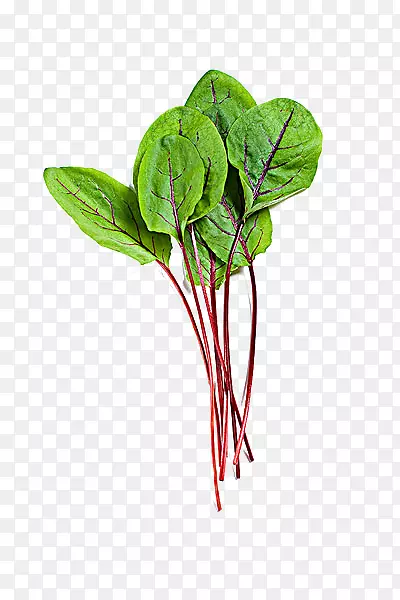 ��ҶͼƬ-������