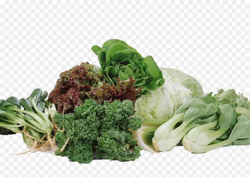 ʳ�￨ͨ��ͨʳ���ز� �����߲�-������