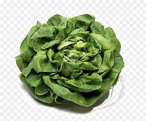 ���Ĳ�-������