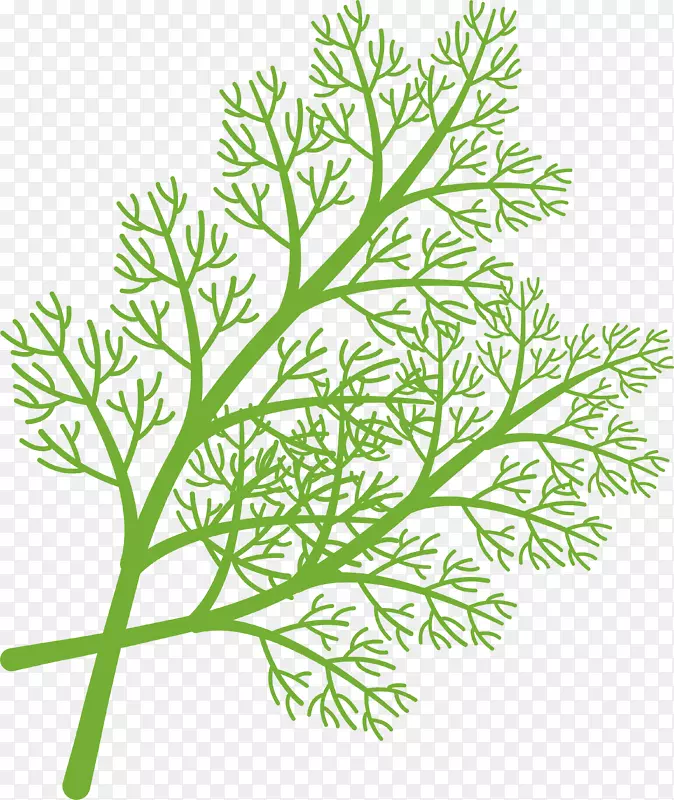 ʸ��ˮ���߲��ز�-������