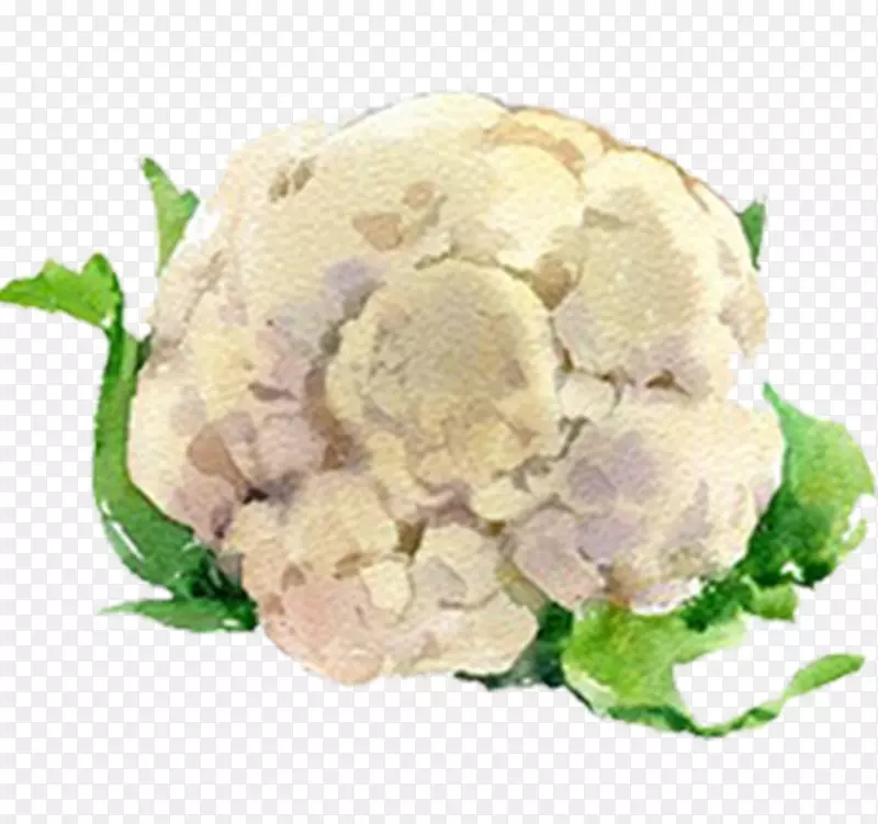 �ֻ�ˮ���кõ��߲˾��Ĳ�-������