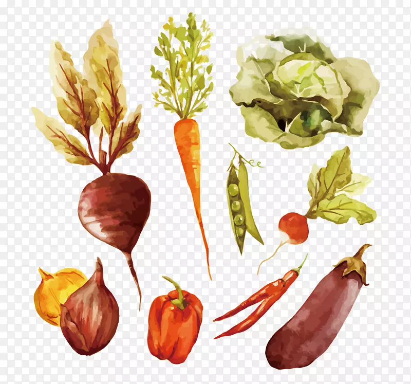 ʸ�������߲�-������