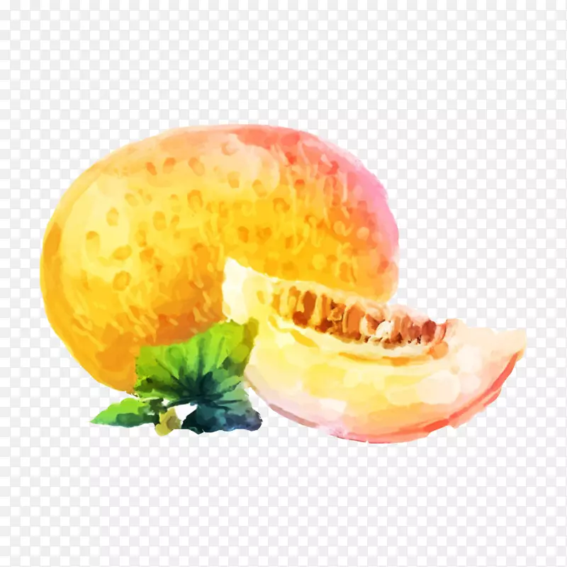 ˮ�ʹ��ܹ�-������