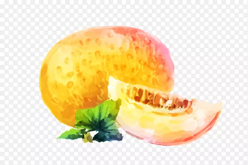 ��ζˮ�ʹ��ܹ�ʸ���ز�-������