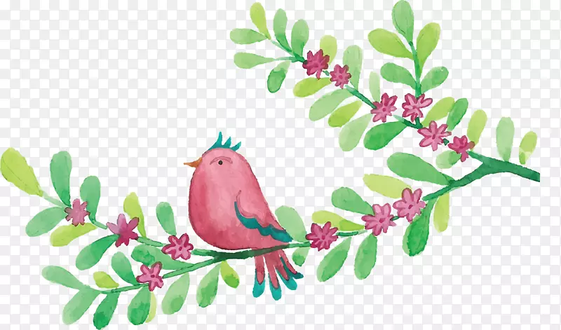 ˮ�ʴ�����֦С��-������