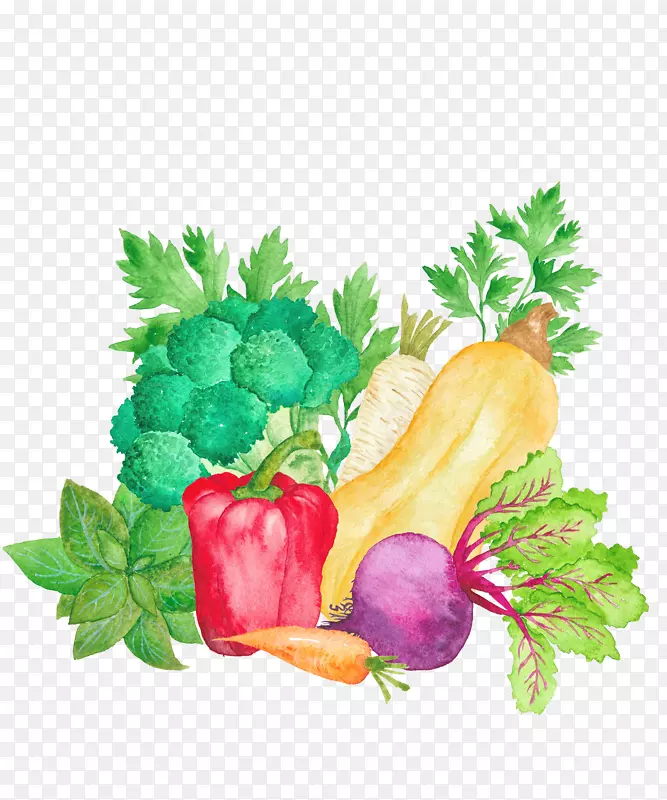 �Ϲ����������ֻ��߲�-������