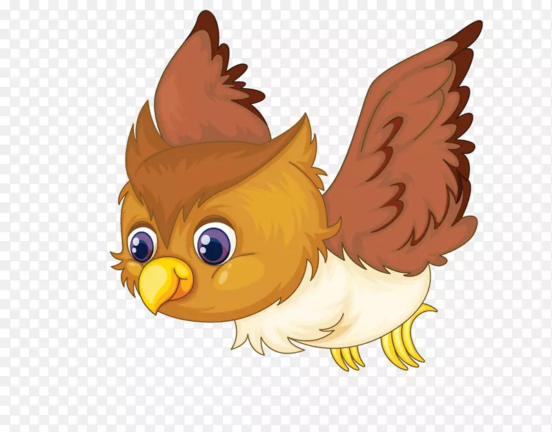 ��ͨ�ɰ�С����װ�ζ���ͷ��èͷ-������