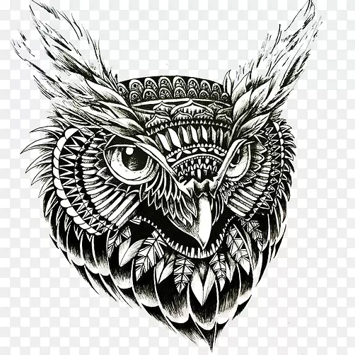 Ǧ���ֻ�ڰ�èͷӥ-������