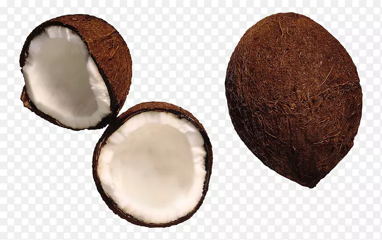 �п���Ҭ��-������