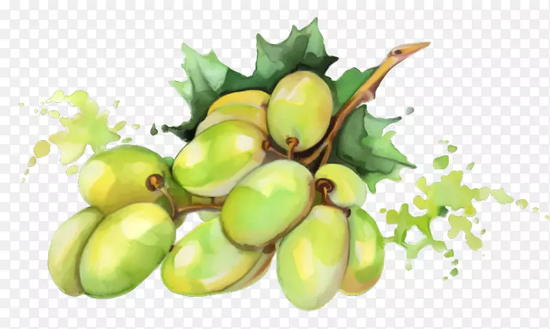 â��ˮ��PNGʸ���ز�-������