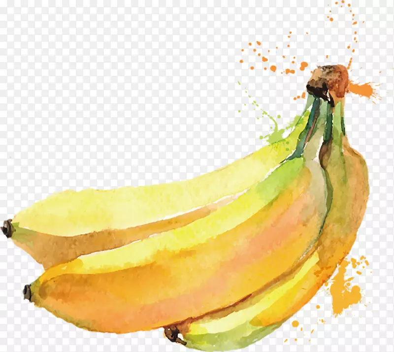 ˮ���㽶-������