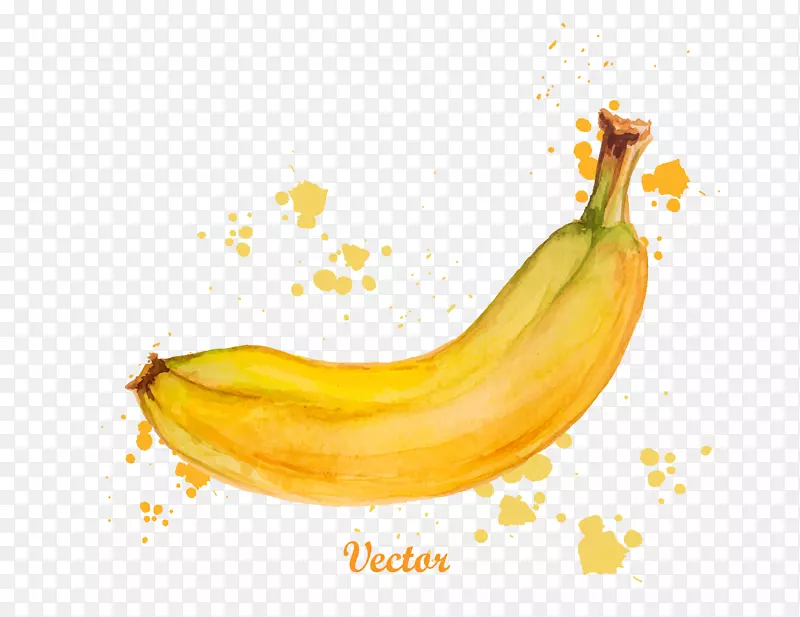 ʸ��ˮ���㽶�ز�-������