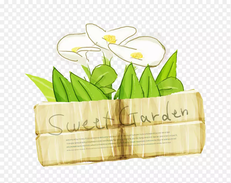 ˮ�����Ի���-������