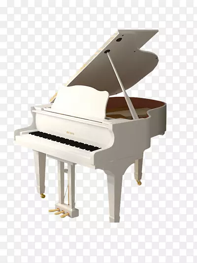 ��ɫ����-������