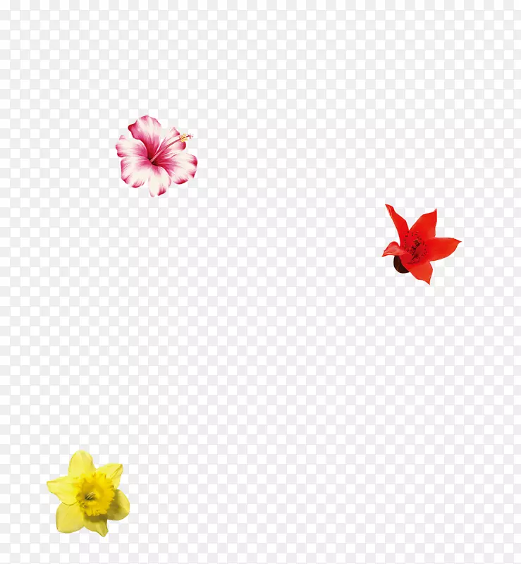 ��ԼС��С��-������