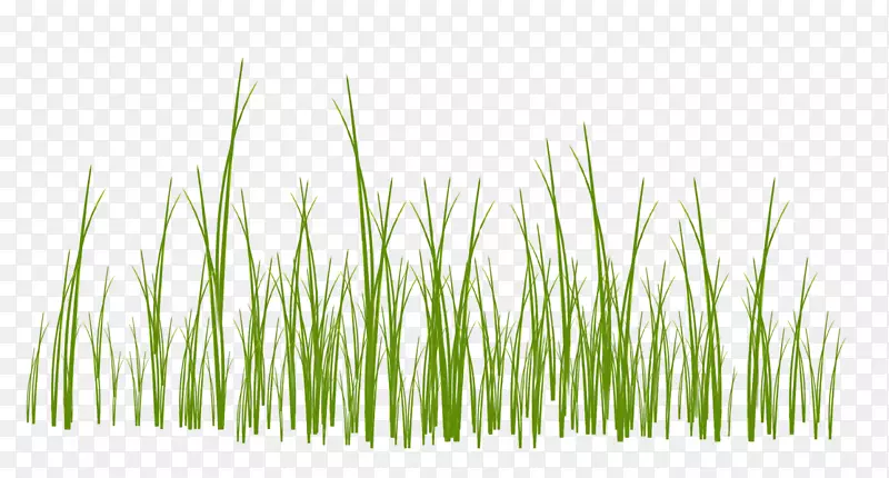 С����ɫ��-������