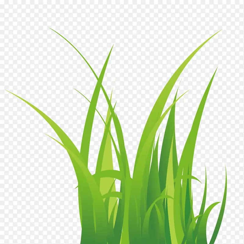 ��ɫֲ��С��-������