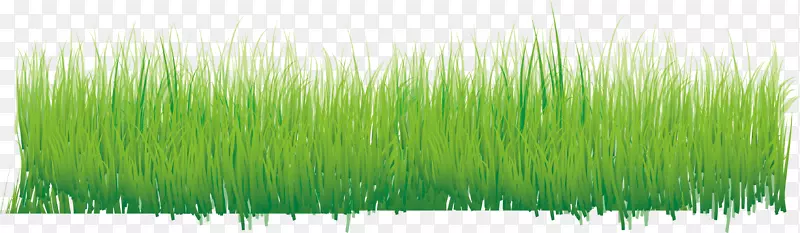 ��ɫ����С���ز�-������