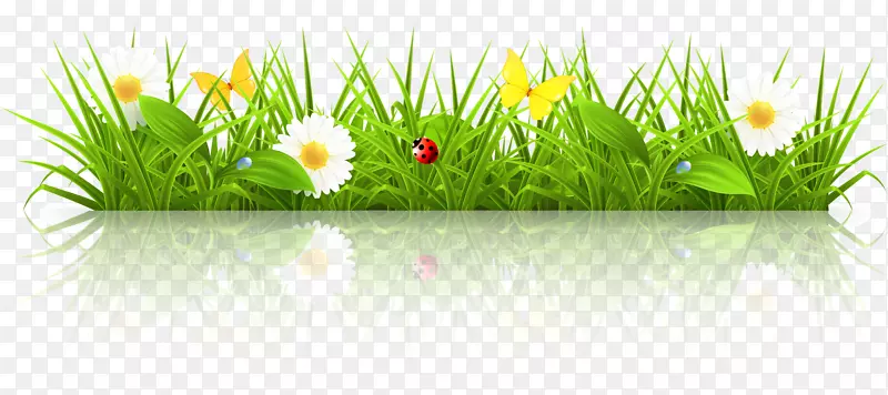 С���ز�ʸ��-������