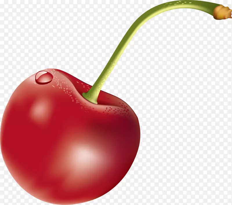 ��ɫ������ҫӣ��-������