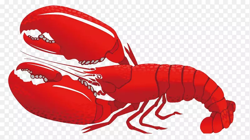 ��ͨ�ֻ�����С��Ϻ-������