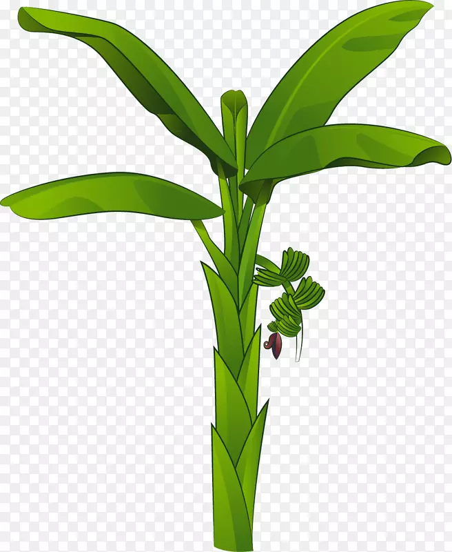 ����ɫ������ʸ���㽶��-������