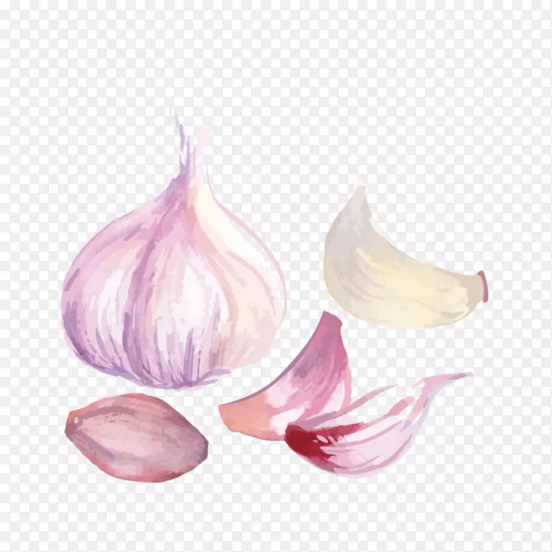 �ֻ���ʳ����ز�-������