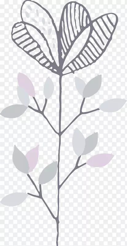 Ư����֦-������